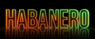 Habanero Challenge: Rules & Guidelines Guide